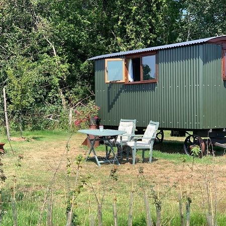Bed and Breakfast Sindles Farm Emsworth Zewnętrze zdjęcie